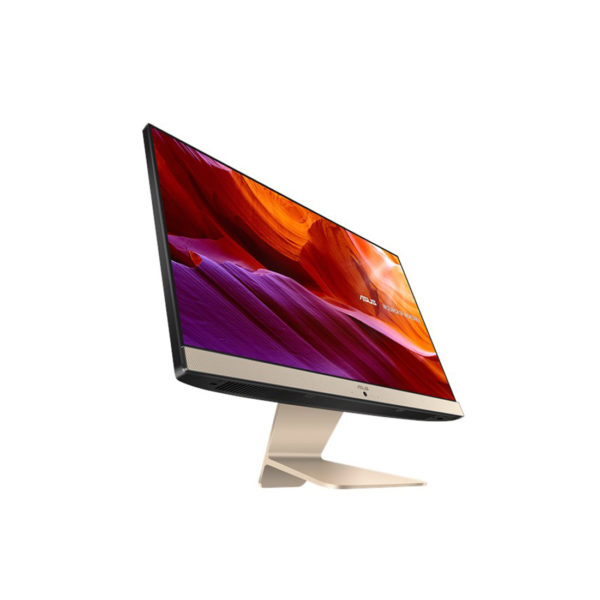 Asus All-In-One V222FAK
